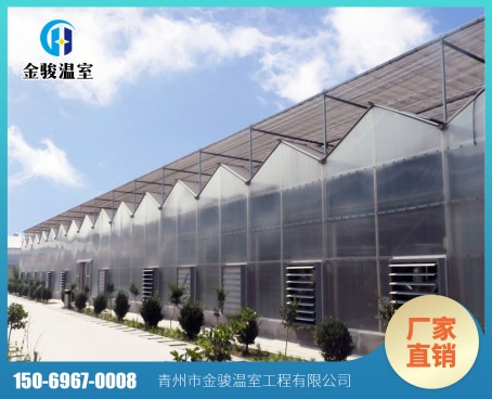 陽(yáng)光板溫室
