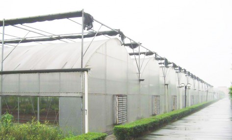 連棟薄膜溫室的使用方法都有哪些？